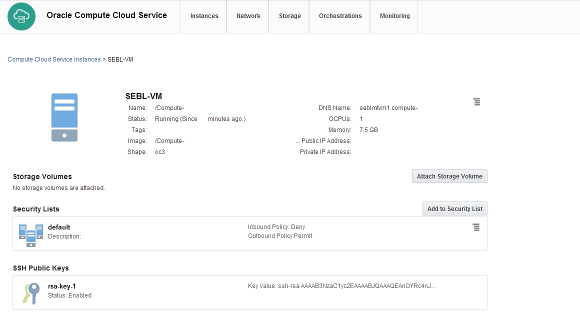 Instance details window