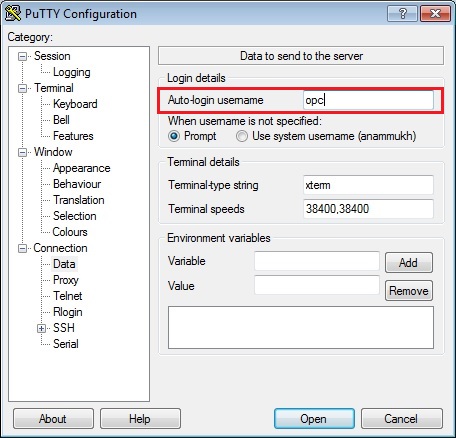 PuTTY Configuration, Data window