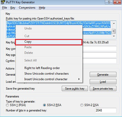Select Copy in the PuTTY Key Generator Window