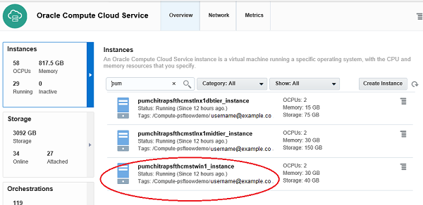 Instances page for Windows VM