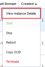View Instance Details on the action menu
