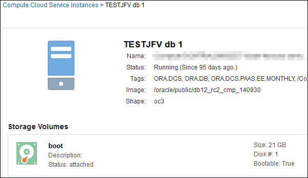 Partial view of TESTJFV detail page, in Compute Cloud Services console