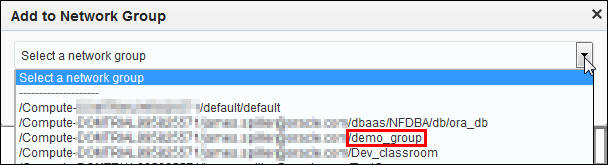 Add to Network Group dialog with puldown shown and demo_group highlighted 