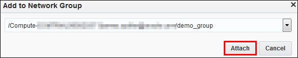 Add to Network Group dialog Attach button highlighted
