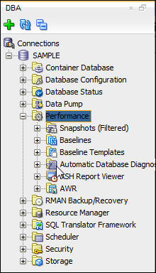 DBA pane with Performance expanded