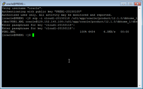 SCP transfer metafile
