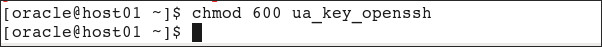 chmod 600 ua_key_openssh