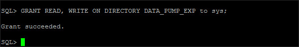 grant read write to datapump directory
