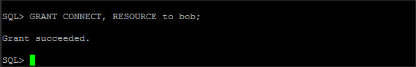 grant connect and resource to bob