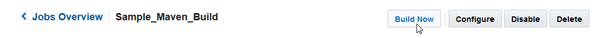 Build Now button in the Job Details page