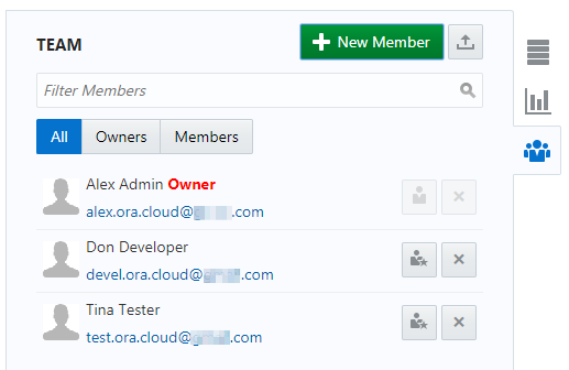Team tab of the Project page with added users
