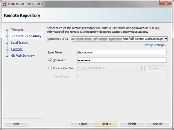 Remote Repository page of the Push to Git wizard