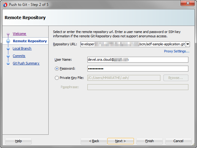 Remote Repository page of the Push to Git wizard