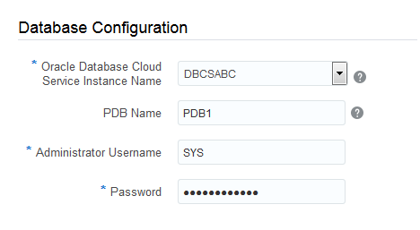 Database Configuration fields of Data Integration Platform Cloud Create Service Wizard