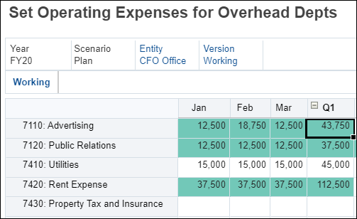 Expense Form After Adjustment