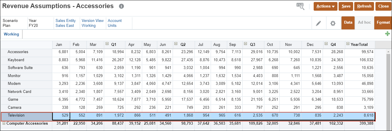 Revenue Form with row highlighted
