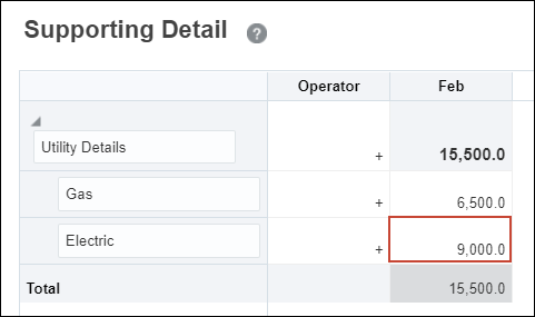 Supporting Detail Dialog Before Entering Electric Amount