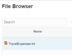 The file is displayed in File Browser.
