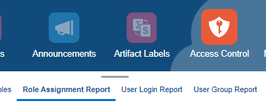 Role Assignment Report