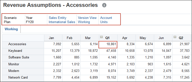 Revenue Assumptions Accessories Form