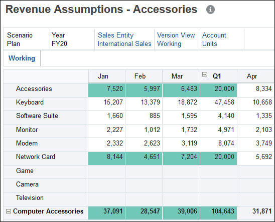 Revenue Assumptions Accessories Form After Adding Data
