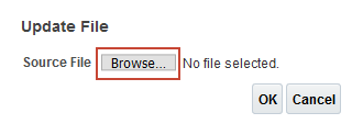Update File Browse to select file
