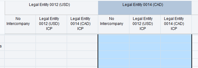 Consolidation Entity 12 column