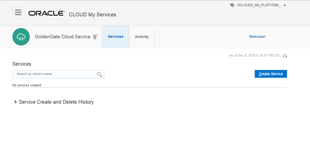 Click Create Service