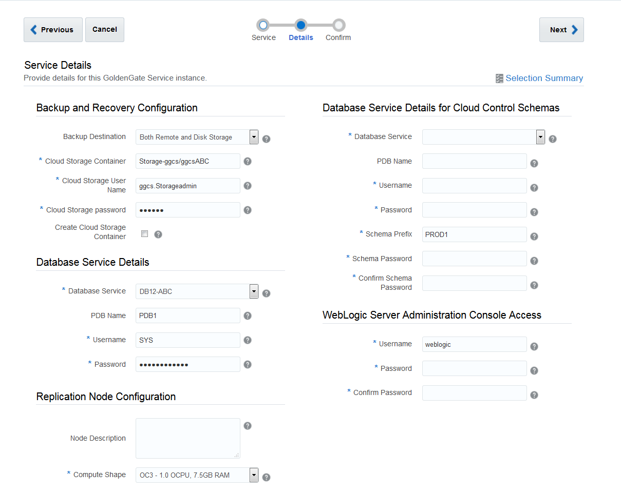 Replication Target Database Details