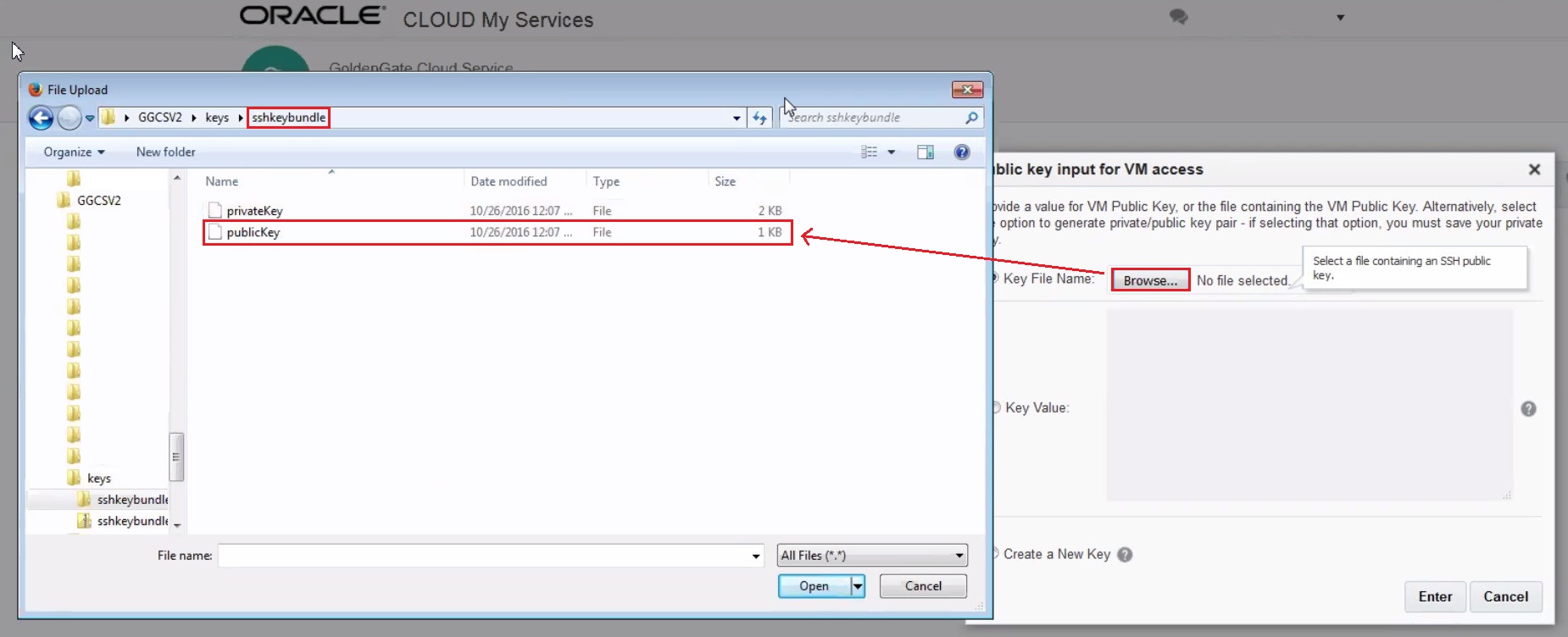 Browse for Public Key file name