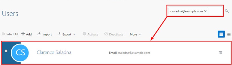 Users page. Search results display a user with the e-mail recorded from Active Directory on previous steps.