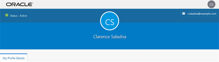 User page after login. Change my Password and Set Email Options no longer available.