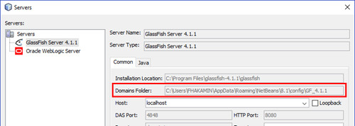 glassfish application server