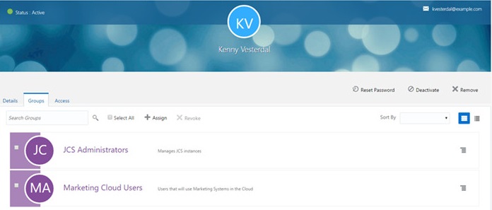 Kenny Vesterdal profile and groups displayed in Oracle Identity Cloud Service