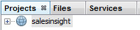 salesinsight project opened in NetBeans