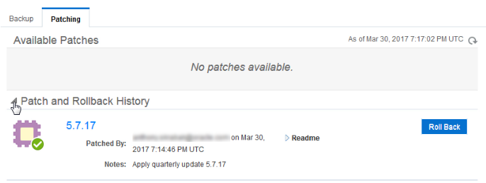 Patch and Rollback History