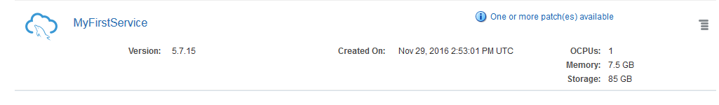 Service showing one or more patches available