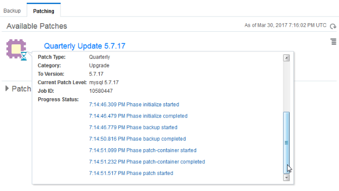 Details of the patch progress