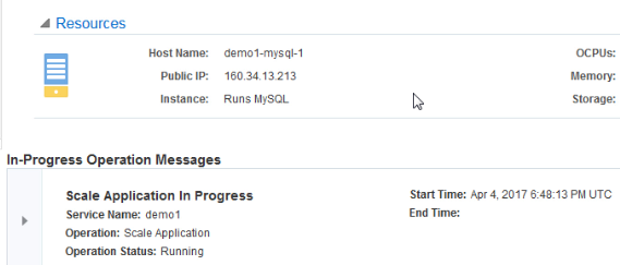 In-Progress Operations Messages