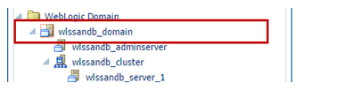 WebLogic Domain node
