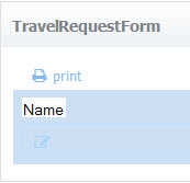Text control renamed