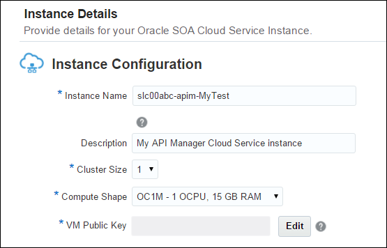Instance Details page