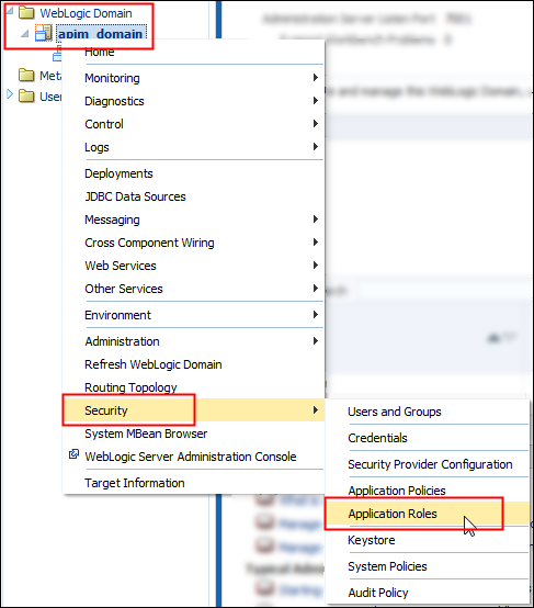 Domain security menu