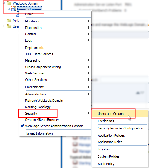 Domain security menu