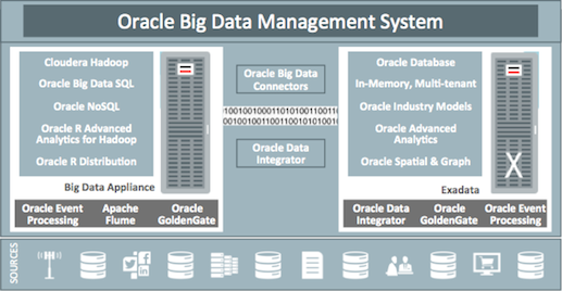Oracle Big Data Management System