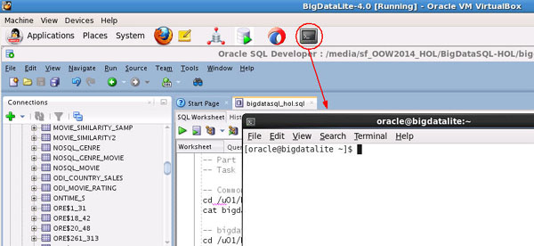 launch SQL Developer and Terminal