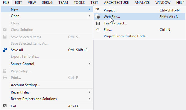 Creating a New Website Project