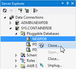 Cloning the Pluggable Database