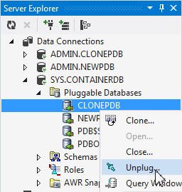 Unplugging the Cloned Database