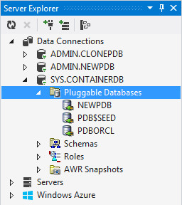 Unplugging the Cloned Database